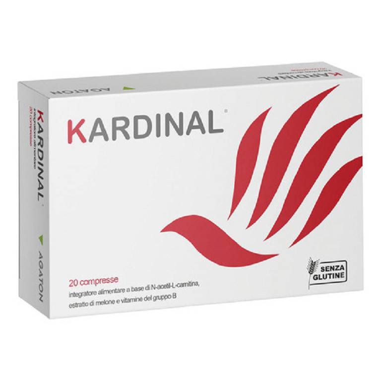 KARDINAL 20CPR