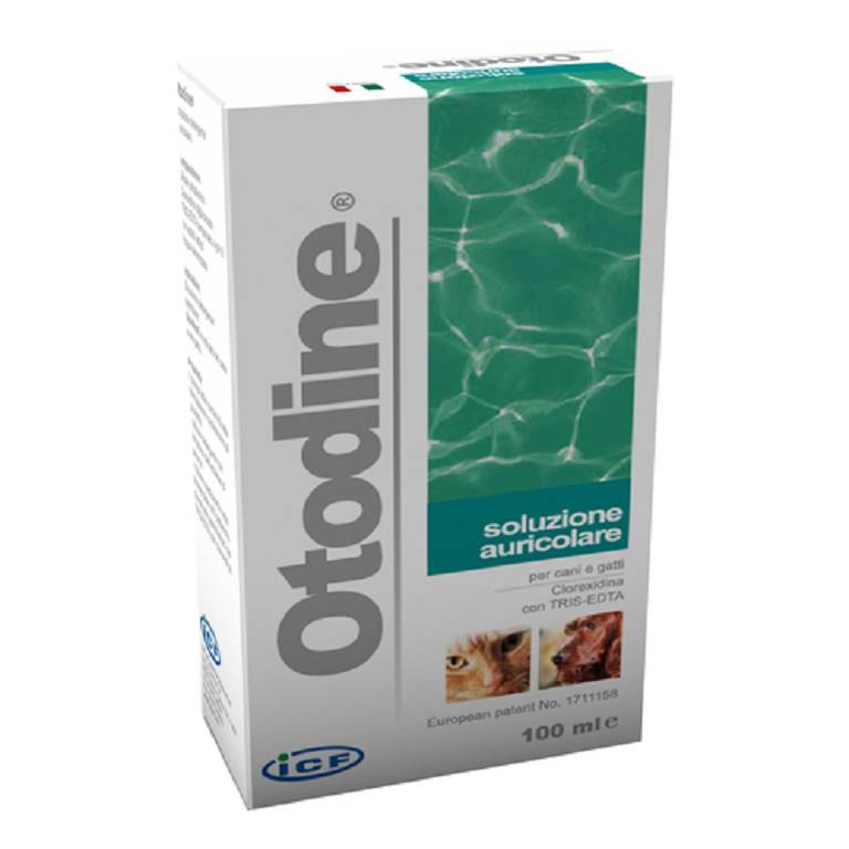 OTODINE DET LIQ 100ML