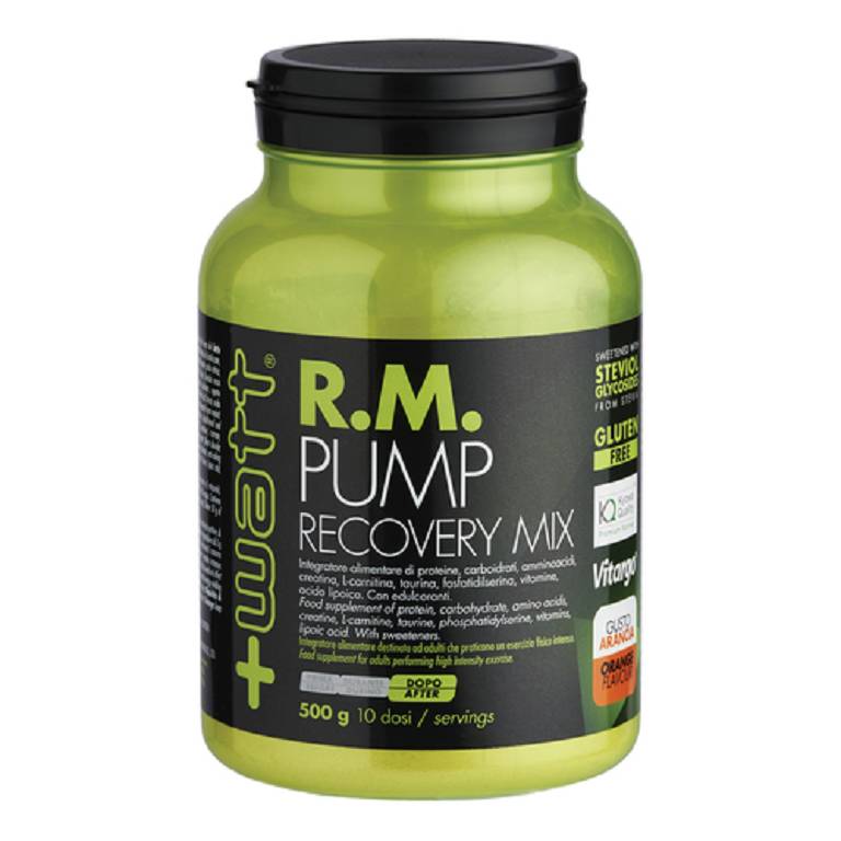 RM PUMP RECOVERY MIX ARA 500G