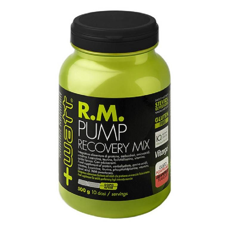 RM PUMP RECOVERY MIX POMP 500G