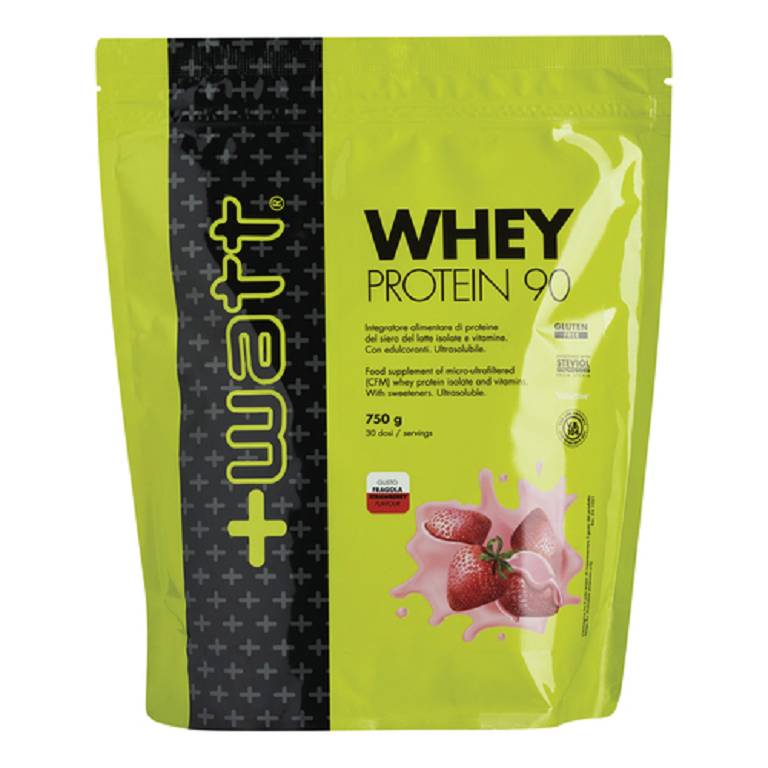 WHEY PROTEIN 90 FRA 750G DOYPA